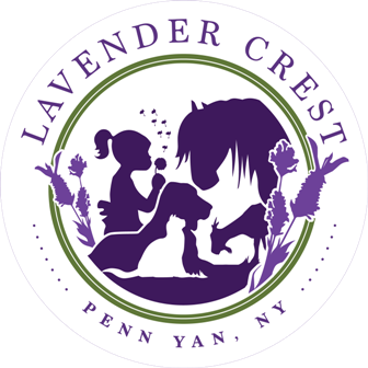 Lavender Crest Farm